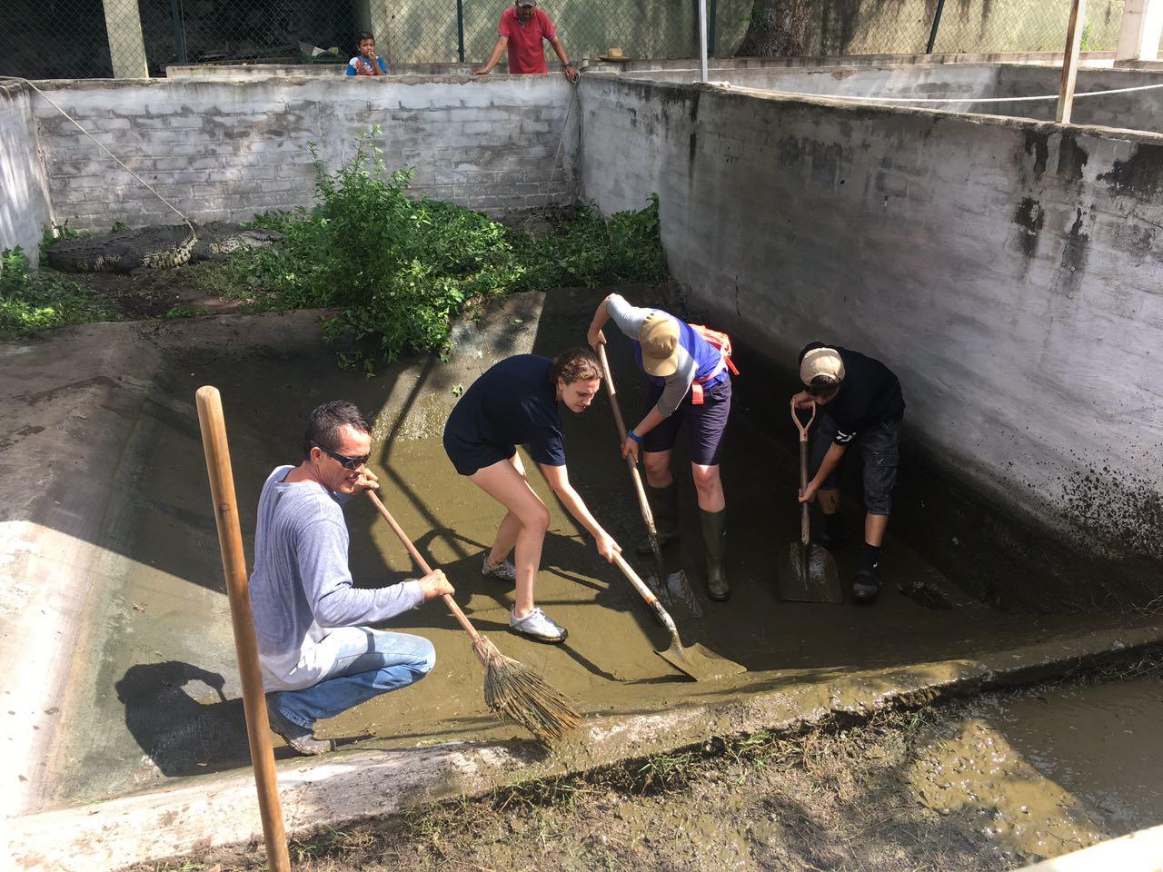 A Projects Abroad group cleans a crocodile enclosure during their conservation volunteering in Mexico. A group cleans a crocodile enclosure for their conservation volunteering in Mexico.